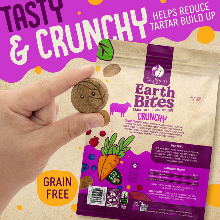 Earthborn Holistic EarthBites Crunchy Dog Treats Lamb & Pumpkin 10oz