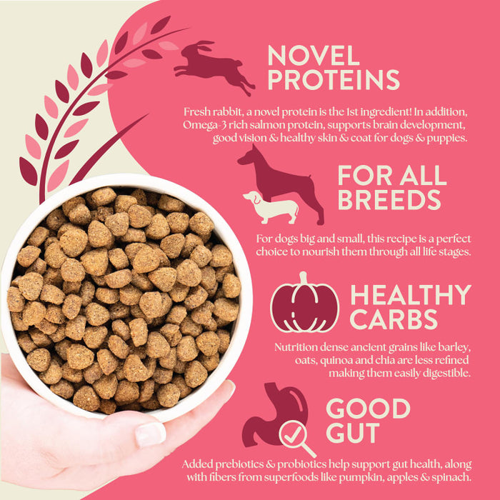 Earthborn Holistic Unrefined Ancient Grains & Superfoods Dry Dog Food Roasted Rabbit 25lb