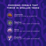 Coralife Hang on Back DC-Controlled Mini Protein Skimmer 65G