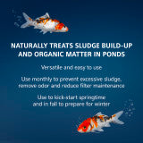 Aqueon Pure Sludge Bomb 1-pack