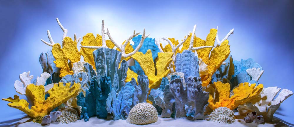 Seaview Double Sided Background Coral Bliss & Luscia Reef 18 Inches X 50 Feet - Image 2
