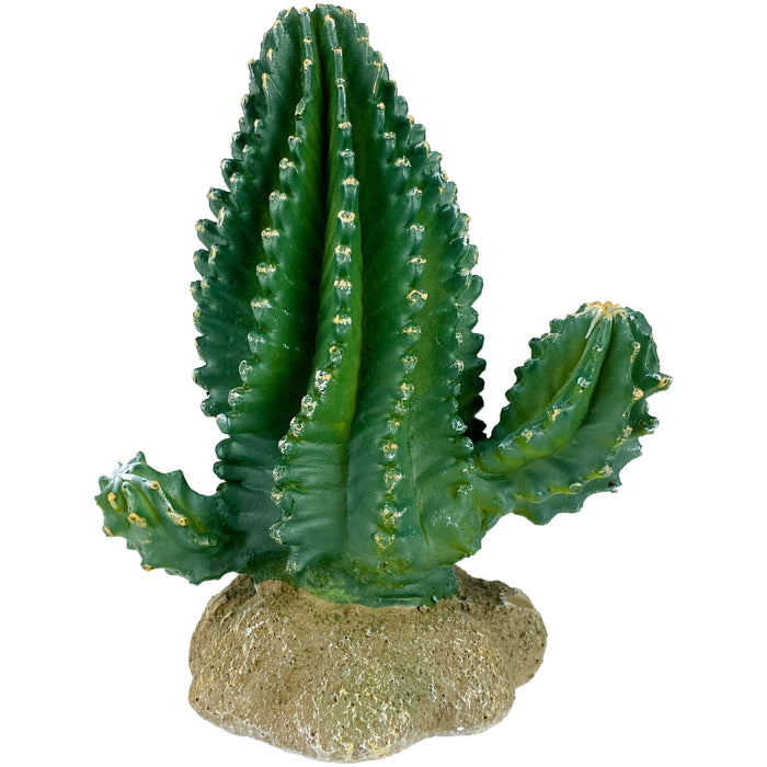 Komodo Cactus Plant Columnar 5.9in