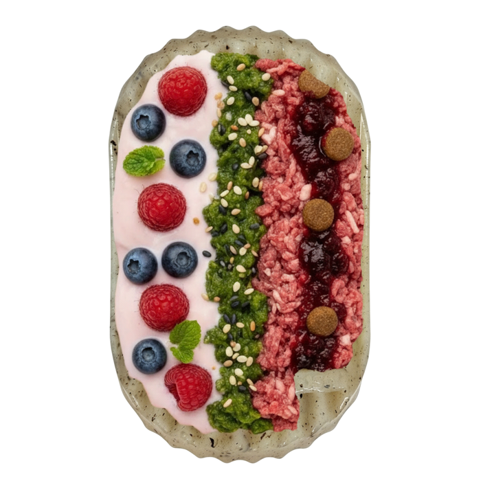 SodaPup Potato Chip Nylon Chew & Enrichment Toy, 2-in-1 for Aggressive Chewers