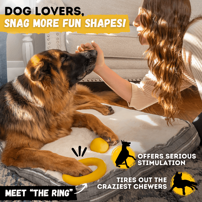 Monster K9 Dog Toys Power Ball