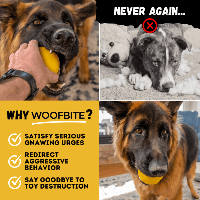 Monster K9 Dog Toys Power Ball