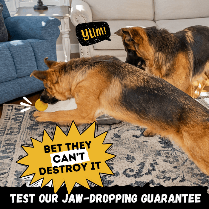 Monster K9 Dog Toys Power Ball