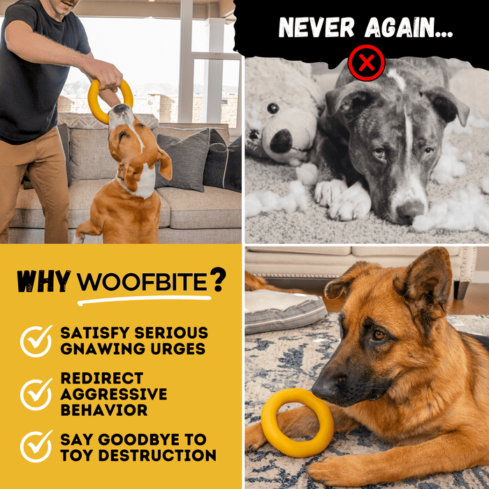 Monster K9 Dog Toys Power Ring