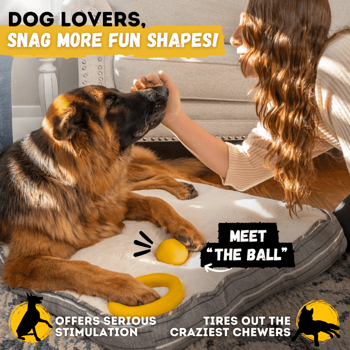 Monster K9 Dog Toys Power Ring