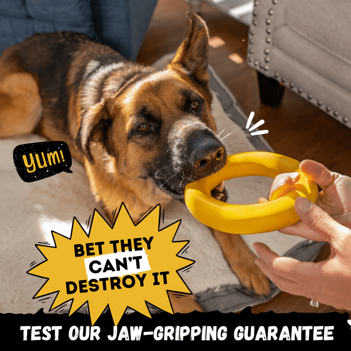 Monster K9 Dog Toys Power Ring