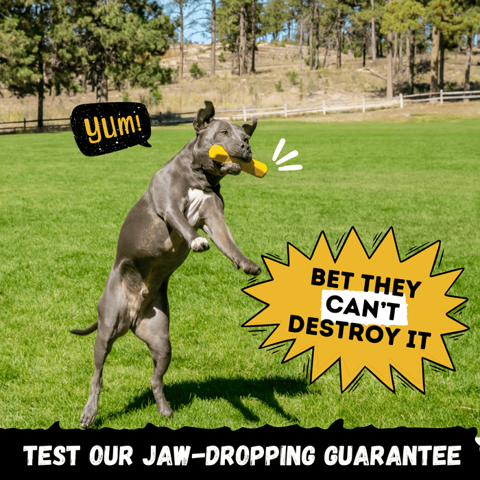 Monster K9 Dog Toys Power Stick