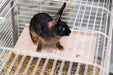 Prevue Pet Products Extra-Large Rectangular Platform - 048081032039
