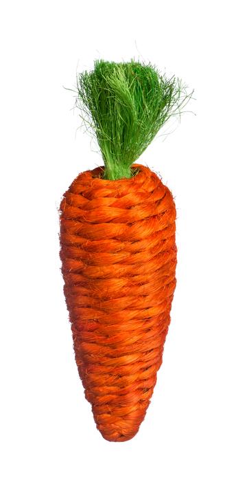 Prevue Pet Products Grassy Nibbler Carrot  - 048081010822