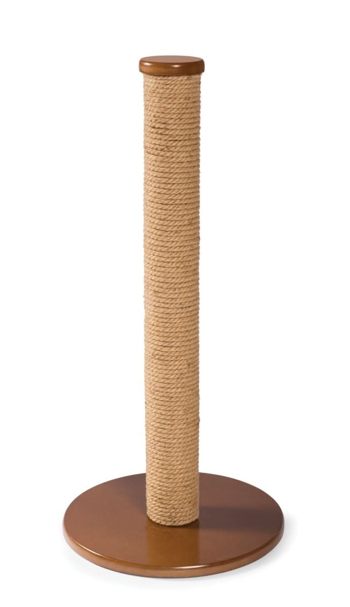 Scratchers cat