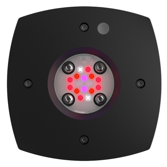 Aqua Illumination Prime Fuge LED Light Fixture Black