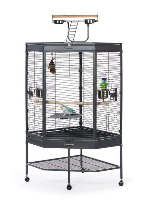 Prevue Pet Products Corner Cage with Playtop
