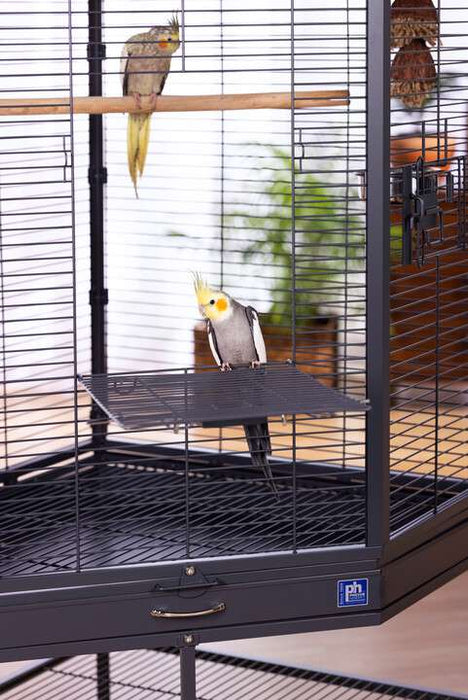 Prevue Pet Products Corner Cage with Playtop