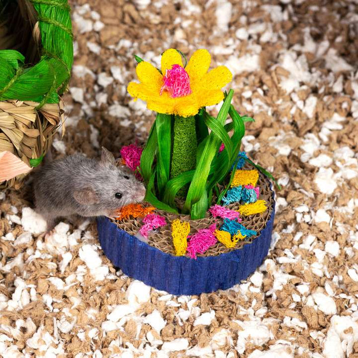 Prevue Pet Products Succulent MiniGarden Small Animal Chew Toy