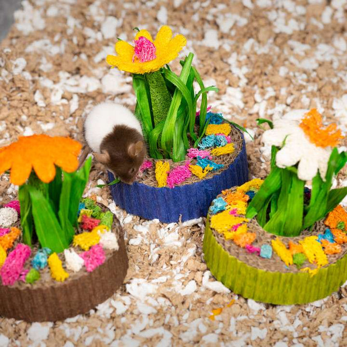 Prevue Pet Products Succulent MiniGarden 3 Pack Small Animal Chew Toy