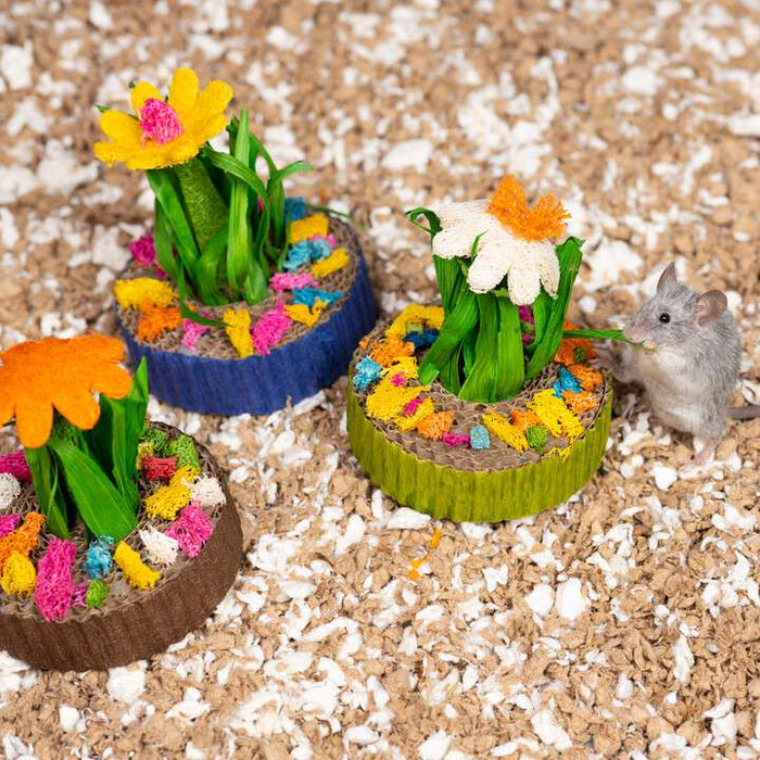 Prevue Pet Products Succulent MiniGarden 3 Pack Small Animal Chew Toy