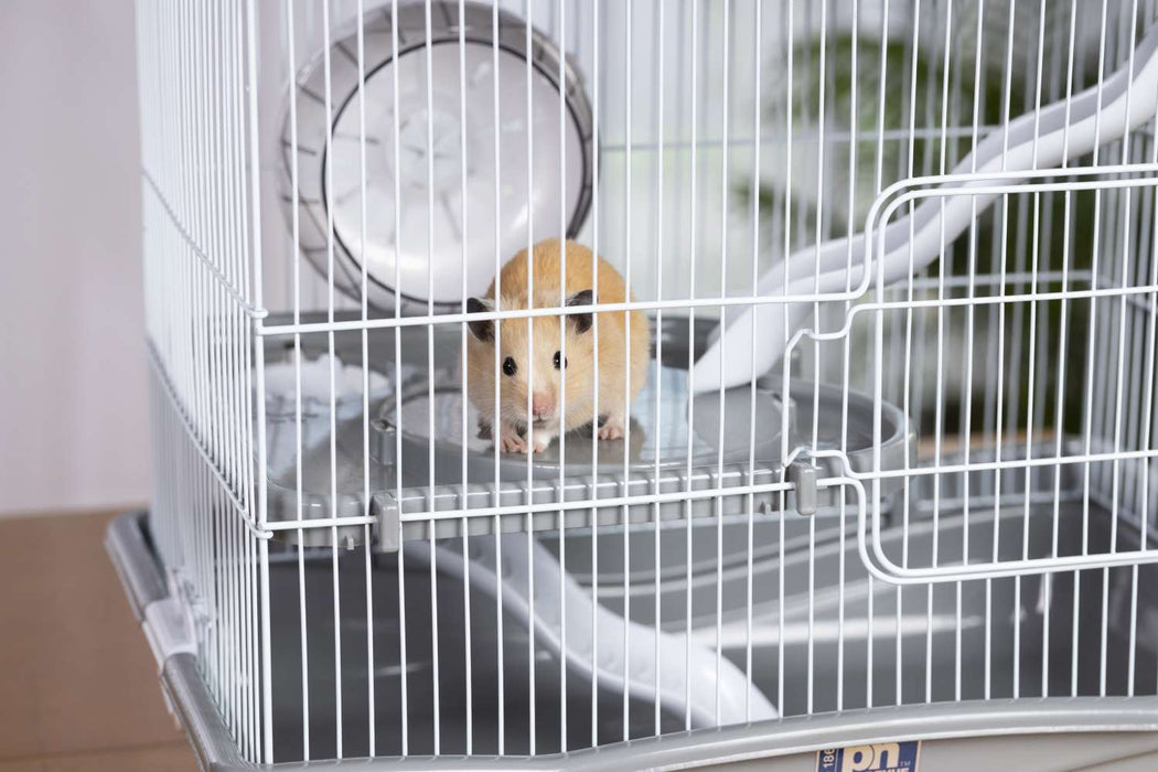 Prevue Pet Products Hamster Haven, Gray