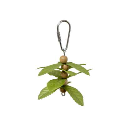 Prevue Pet Products Playfuls Sprout Berries Bird Toy