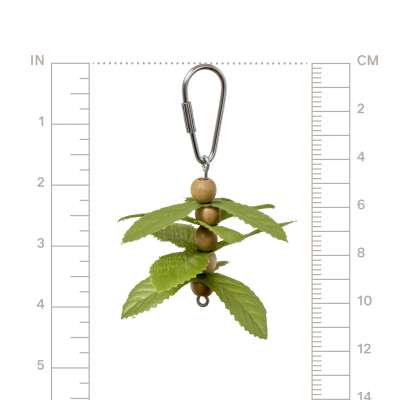 Prevue Pet Products Playfuls Sprout Berries Bird Toy