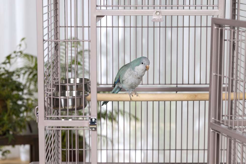 Prevue Pet Products Playtop 24" Bird Home