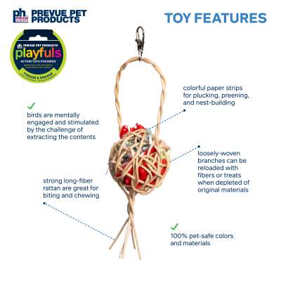 Prevue Pet Products Playfuls Treat Basket Bird Toy