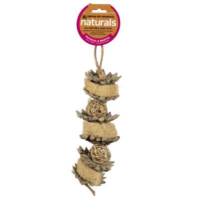 Prevue Pet Products Naturals Flowers & Cubes Bird Toy
