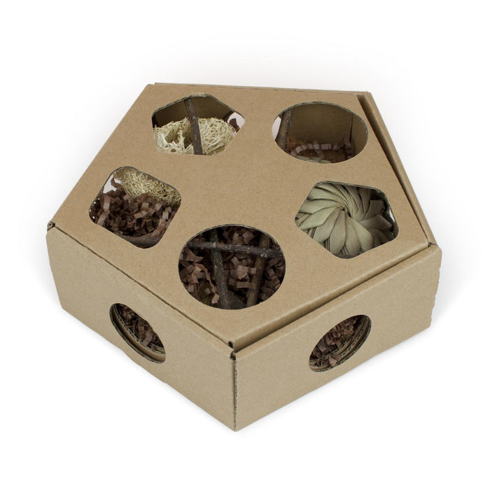 Prevue Pet Products Pentagon Forage 'N Play Box for Small Animals