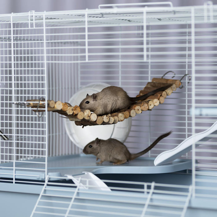 Prevue Pet Products Bendy Bridge for Small Animals