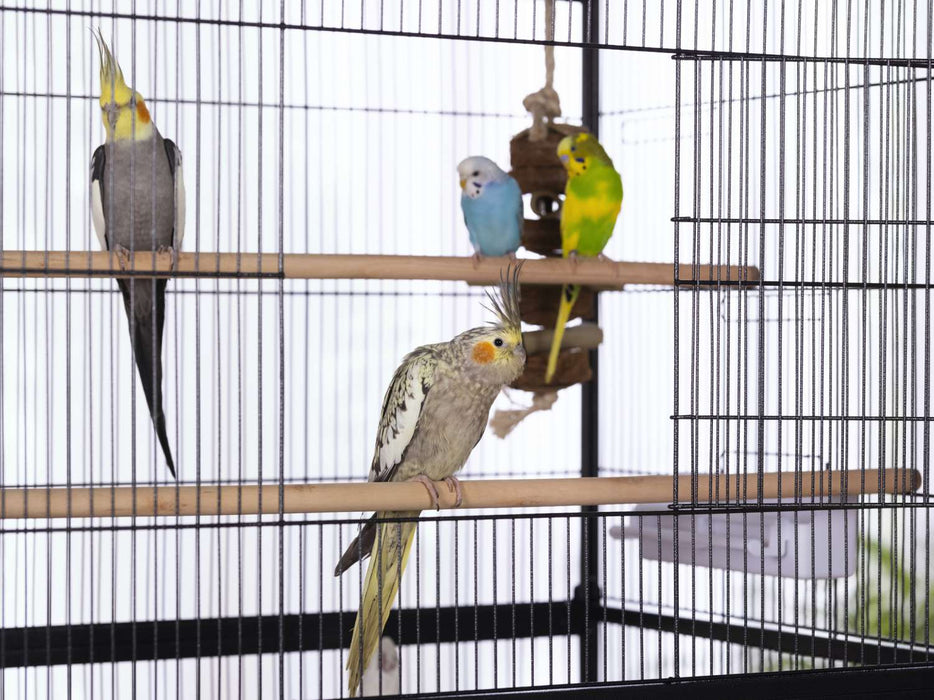Prevue Pet Products Flight Bird Cage with Stand