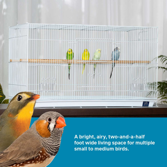 Prevue Pet Products Flight Bird Cage for Extra Small Birds, White