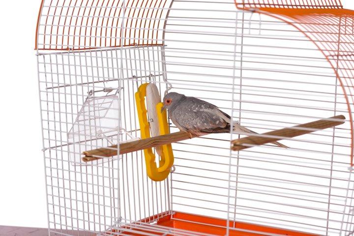 Prevue Pet Products Birdie Basics Cuttlebone & Treat Holder, Yellow