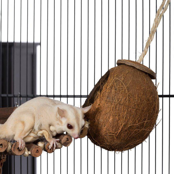 Prevue Pet Products Naturals Coco Hideaway w/Bird Ladder Bird Toy