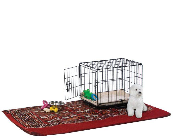 Prevue Pet Products Home On-The-Go Single Door Dog Crate, XX-Small