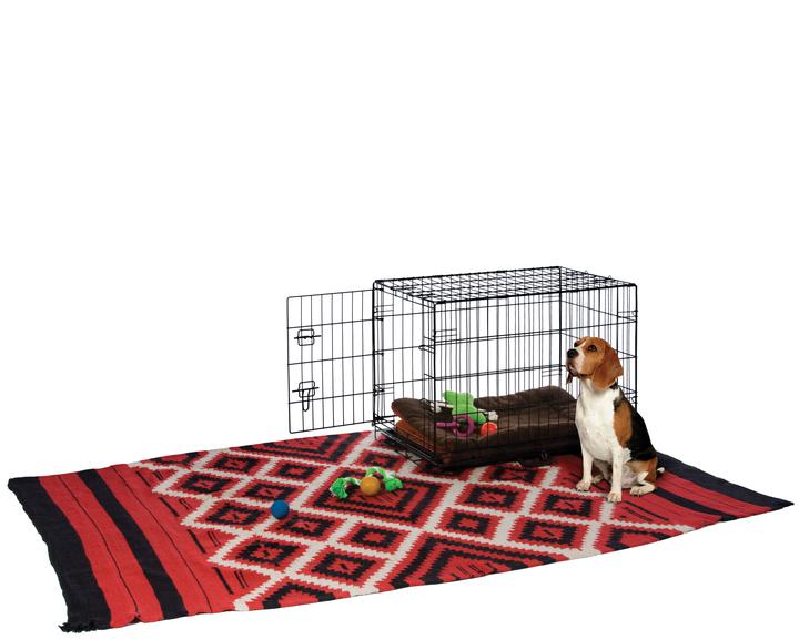 Prevue Pet Products Home On-The-Go Single Door Dog Crate, Small