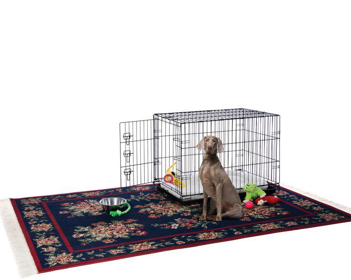 Prevue Pet Products Home On-The-Go Single Door Dog Crate, Medium