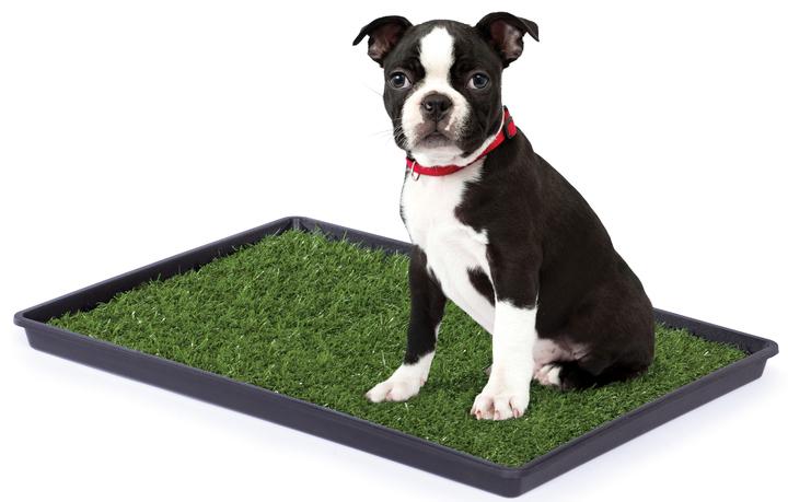 Prevue Pet Products Dog Tinkle Turf
