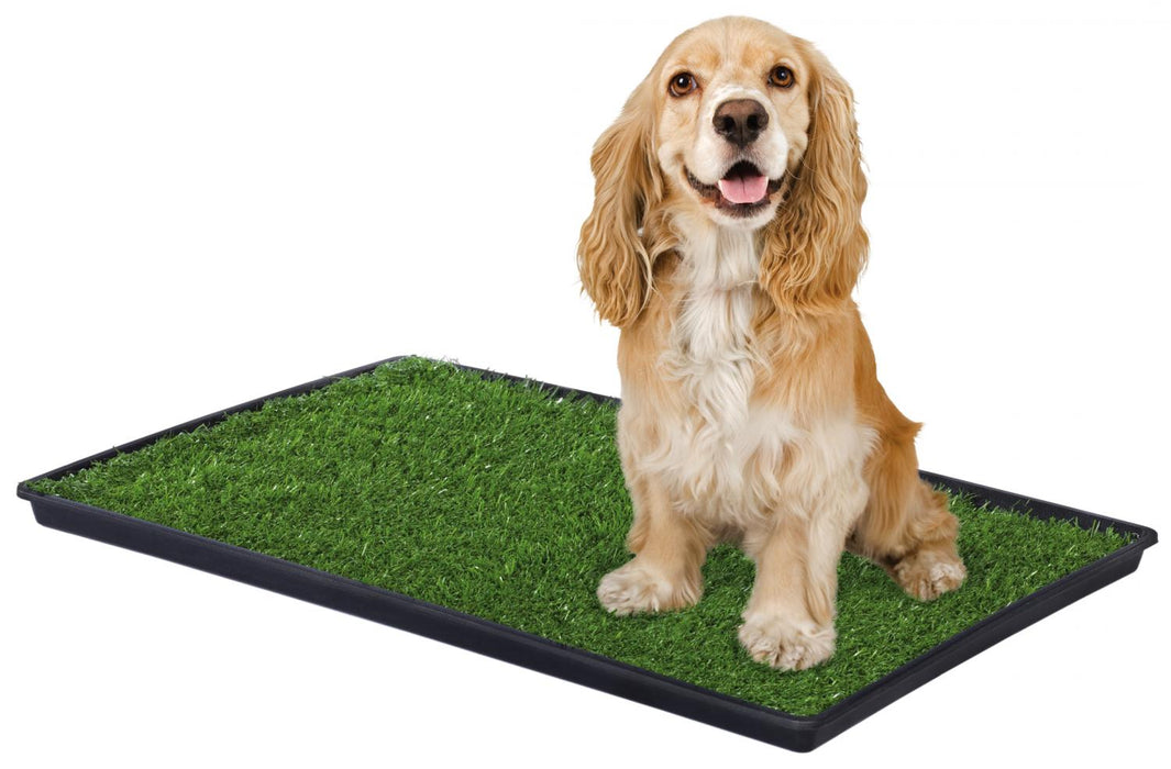 Prevue Pet Products Dog Tinkle Turf