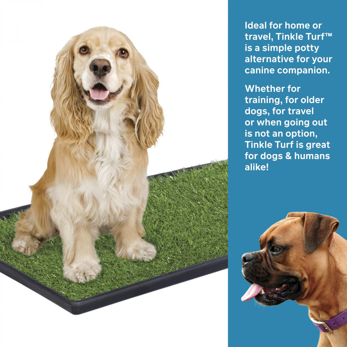 Prevue Pet Products Dog Tinkle Turf