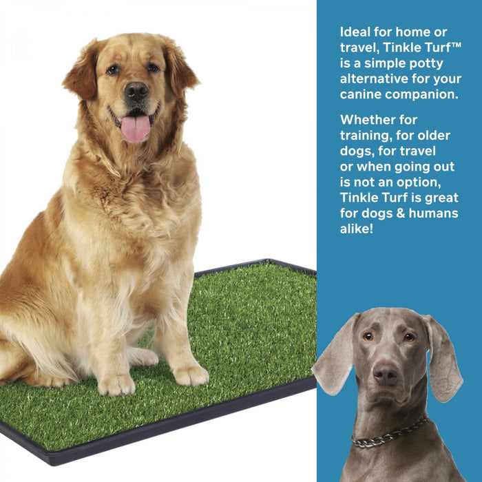 Prevue Pet Products Dog Tinkle Turf