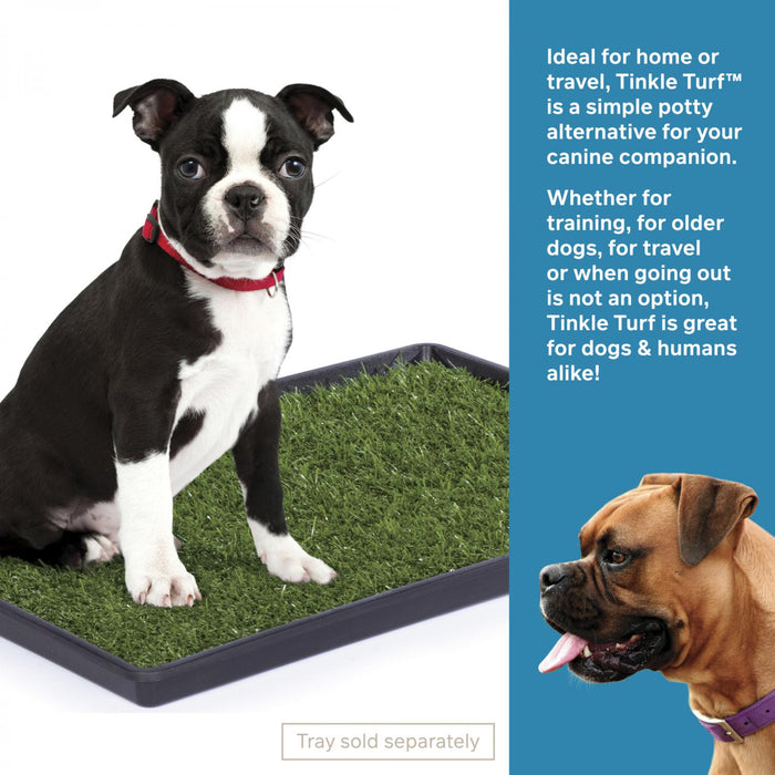 Prevue Pet Products Replacement Grass for Dog Tinkle Turf, Green