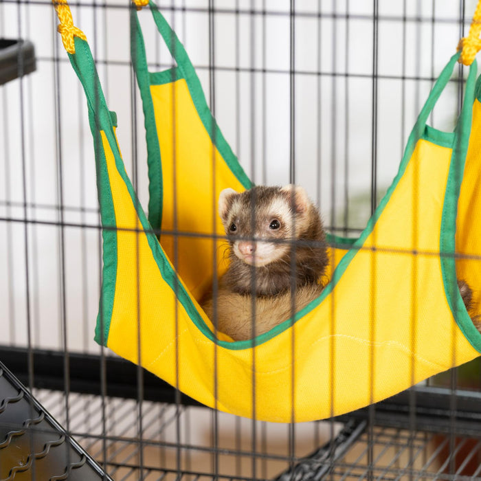 Prevue Pet Products Feisty Ferret Home with Stand, Black