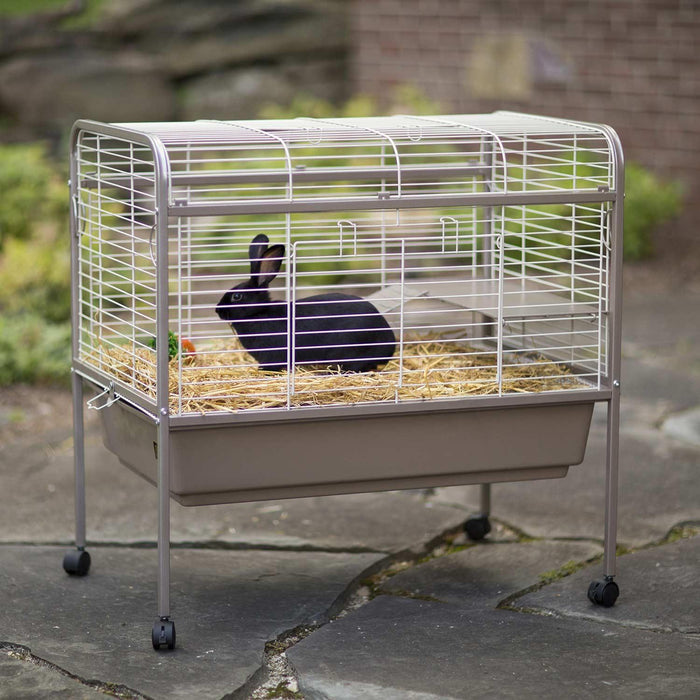 Prevue Pet Products Small Animal Home, Coco