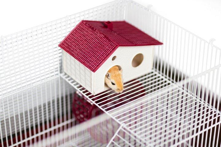 Prevue Pet Products Playpen Mat/Cover