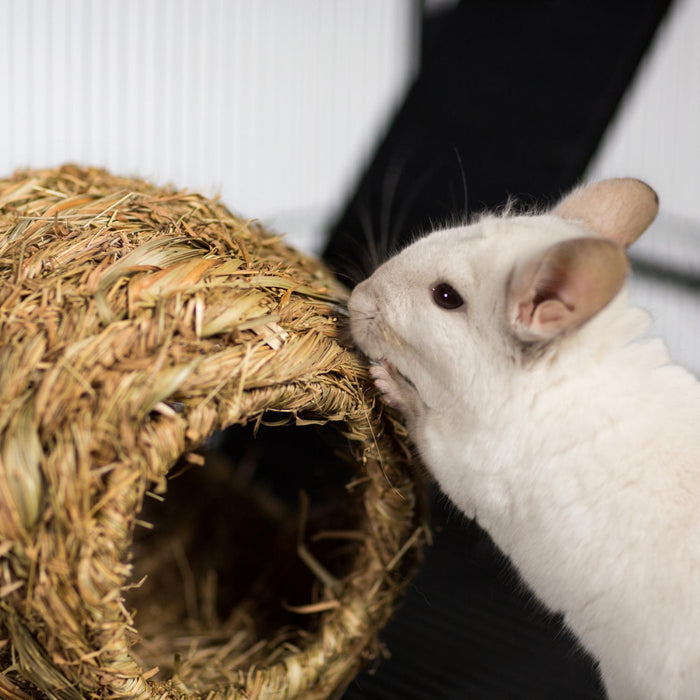 Prevue Pet Products Nature's Hideaway Grass Ball for Small Animals