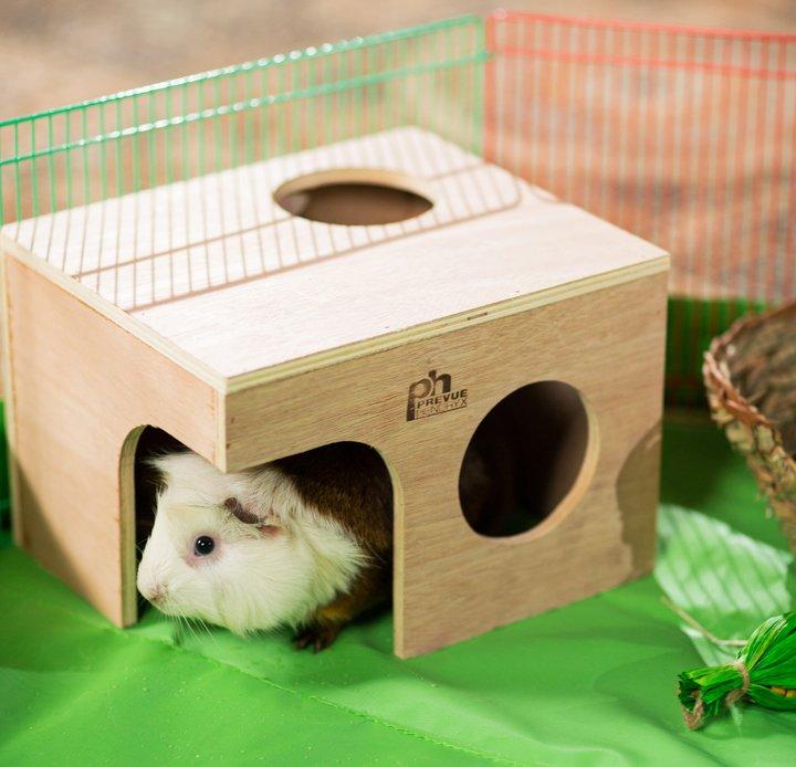 Prevue Pet Products Guinea Pig Hut