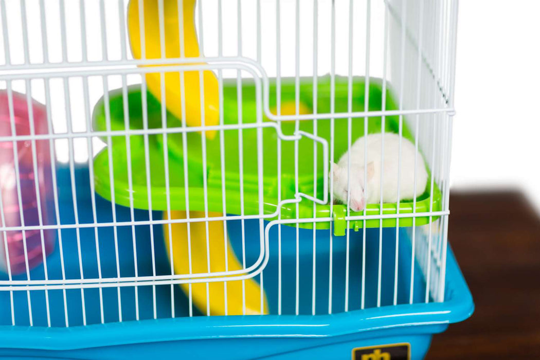 Prevue Pet Products Hamster Haven, Blue