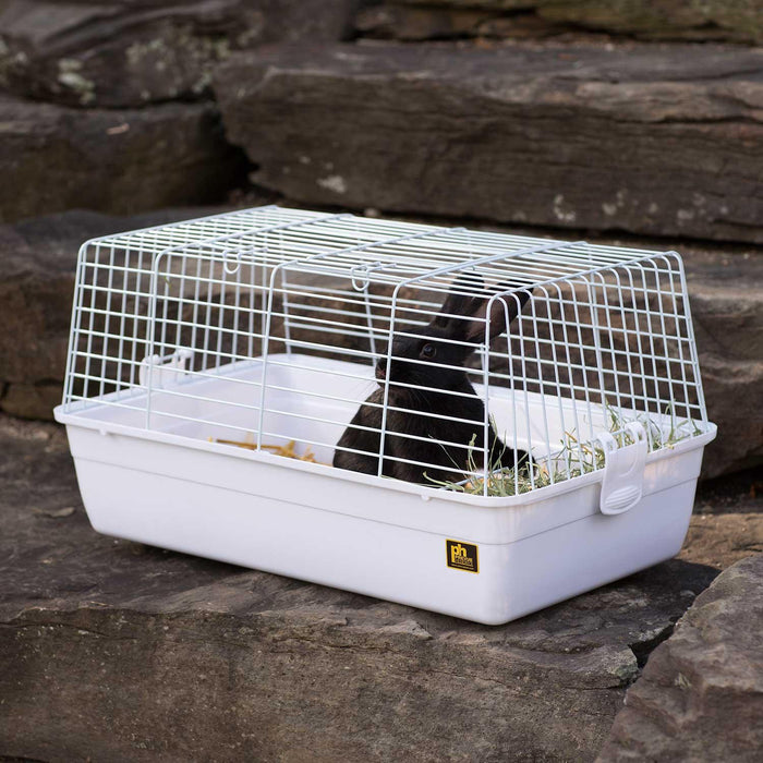 Prevue Pet Products Single Pack Carina Small Animal Cage